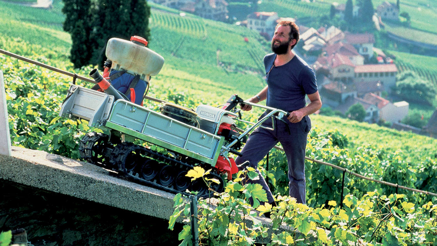 Carrello cingolato utilizzato da un operatore, sul campo.