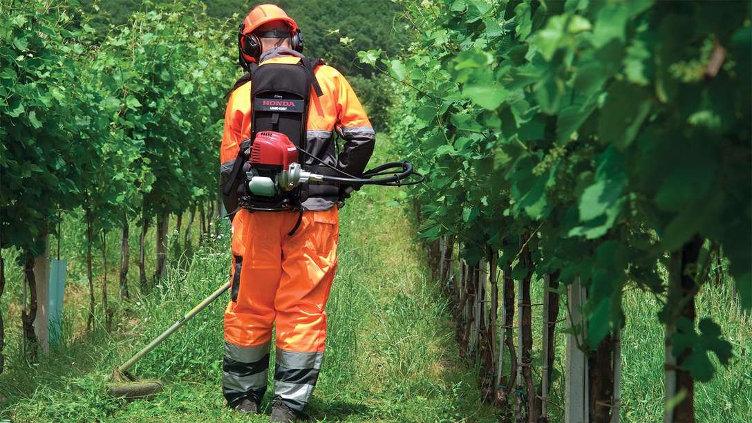 Decespugliatori spalleggiati Honda, utilizzati da un operatore, luogo di utilizzo: distesa erbosa.
