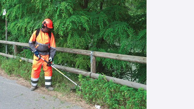 Decespugliatori spalleggiati Honda, utilizzati da un operatore, luogo di utilizzo: distesa erbosa.