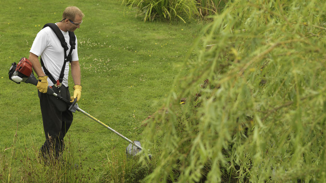 Decespugliatore utilizzato da un operatore, luogo di utilizzo: giardino.