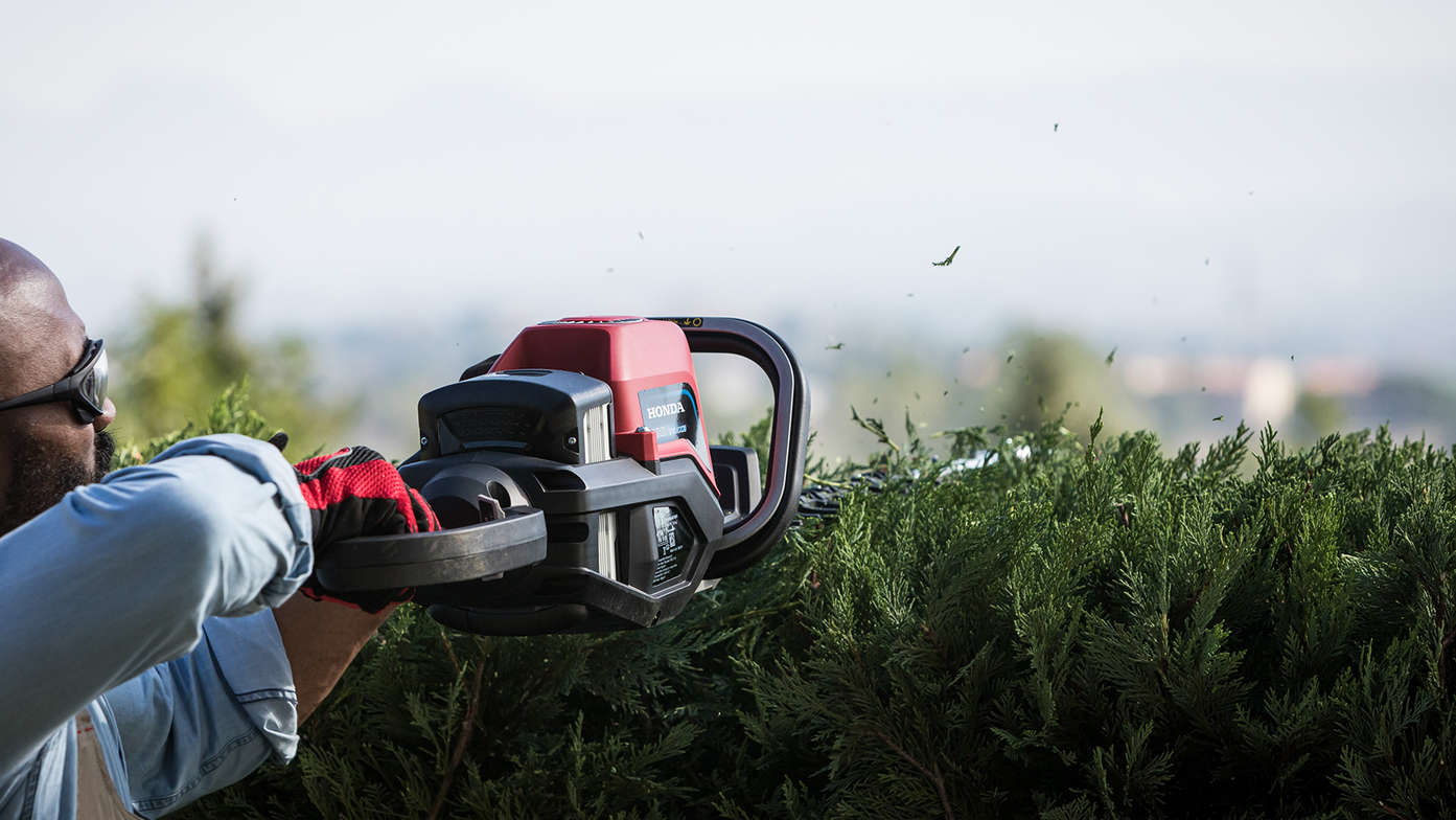 Model trimming the top of the bush with Honda's cordless hedge trimmer.