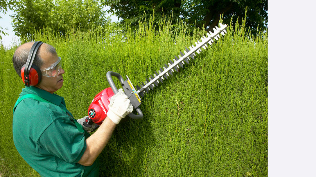 Tagliasiepi Honda, utilizzati da un operatore, luogo di utilizzo: giardino.