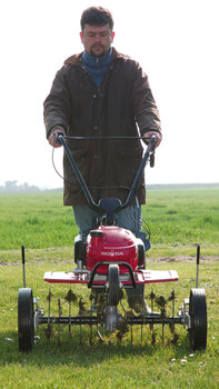 Mini-motozappa, rivolta in avanti, utilizzata da un operatore, con primo piano dell'arieggiatore antifeltro, luogo di utilizzo: giardino.