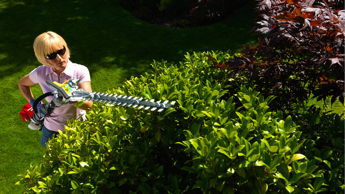 Honda Versatool con attrezzo tagliasiepi, utilizzato da un modello, luogo di utilizzo: giardino.