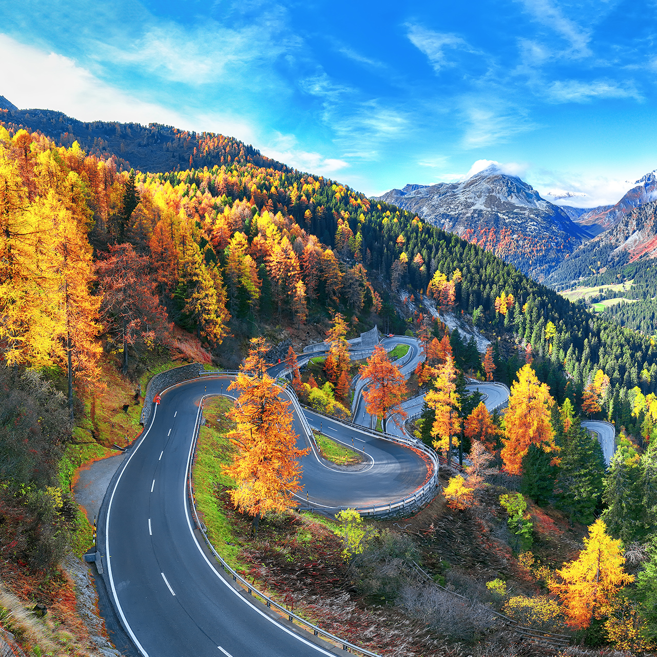 Splendida vista della strada del passo del Maloja in autunno. Colorato panorama autunnale delle Alpi svizzere. Posizione: Passo Maloya, regione dell'Engadina, Cantone dei Grigioni, Svizzera, Europa