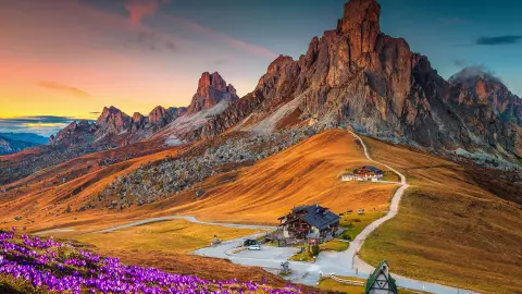 Meraviglioso scenario alpino con fiori di croco primaverili sulle colline e spettacolari montagne al tramonto, Passo Giau, Dolomiti, Italia, Europa