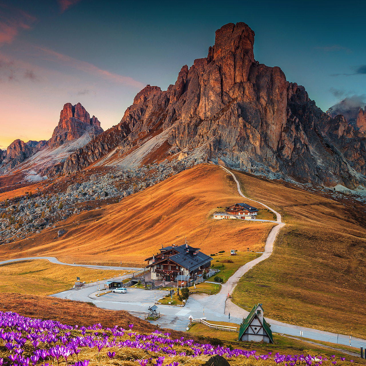 Meraviglioso scenario alpino con fiori di croco primaverili sulle colline e spettacolari montagne al tramonto, Passo Giau, Dolomiti, Italia, Europa