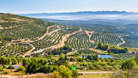 Classica vista del paesaggio montano estivo spagnolo con strada