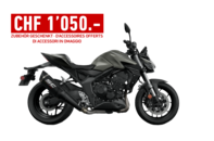 CB1000 Hornet Hive Edition 2025