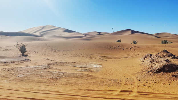 I piloti HRC insegneranno ai partecipanti come domare l'Africa Twin su terreni davvero difficili.