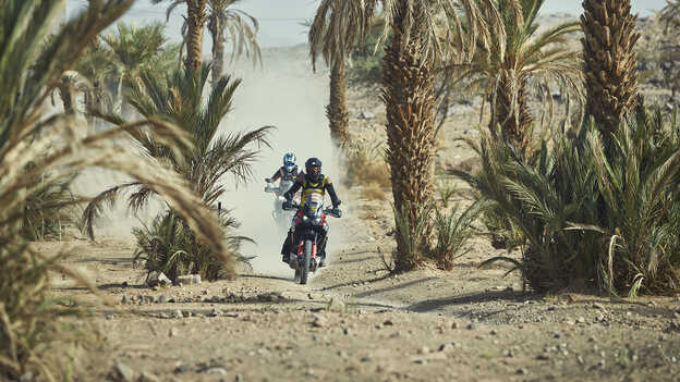 Motociclisti in sella a Africa Twin mentre guidano attraverso un'oasi.