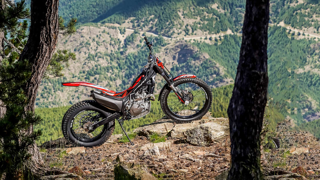 Vista laterale della Honda Montesa Cota 4RT 260R in un paesaggio boschivo.