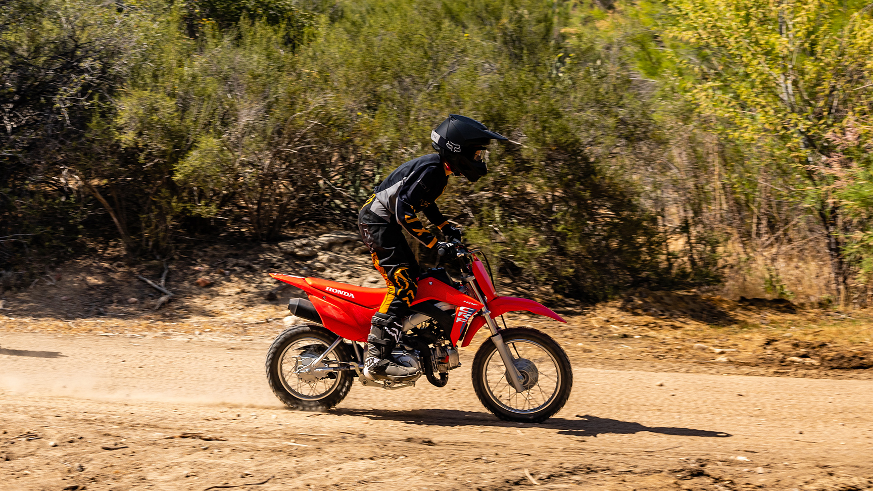 CRF110F altezza sella 657 mm