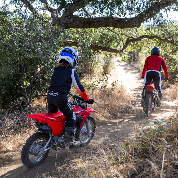 CRF110F Facile da guidare