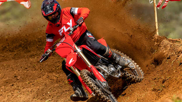 Forcelle Showa USD CRF450R da 49 mm