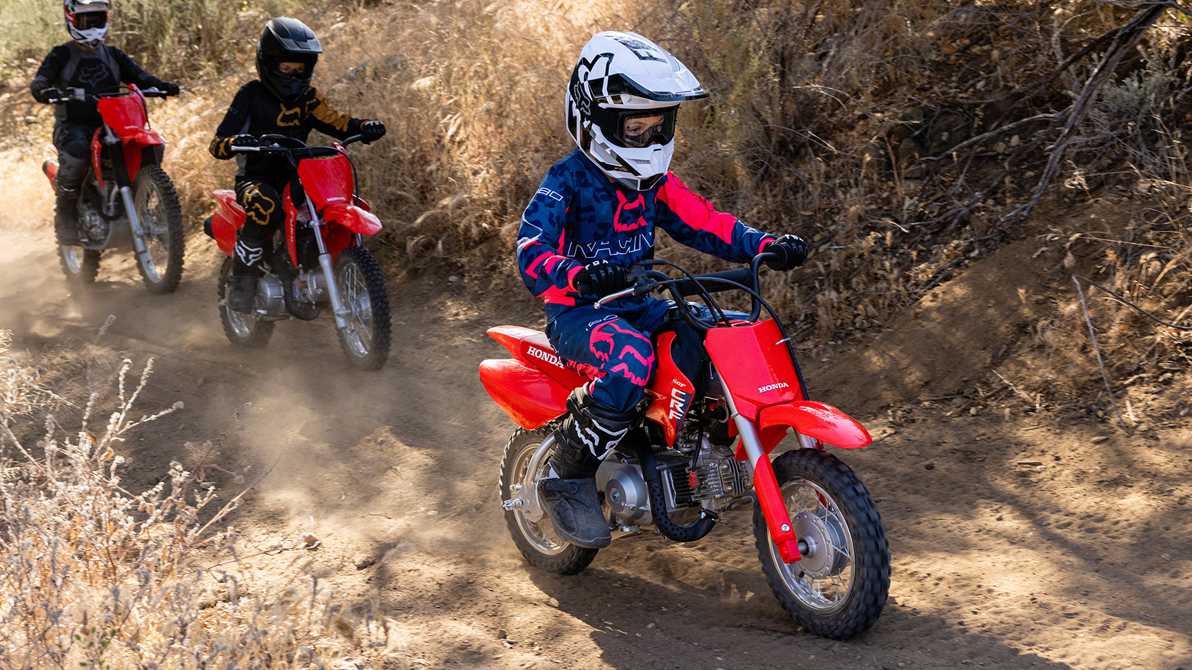 Famiglia CRF50F