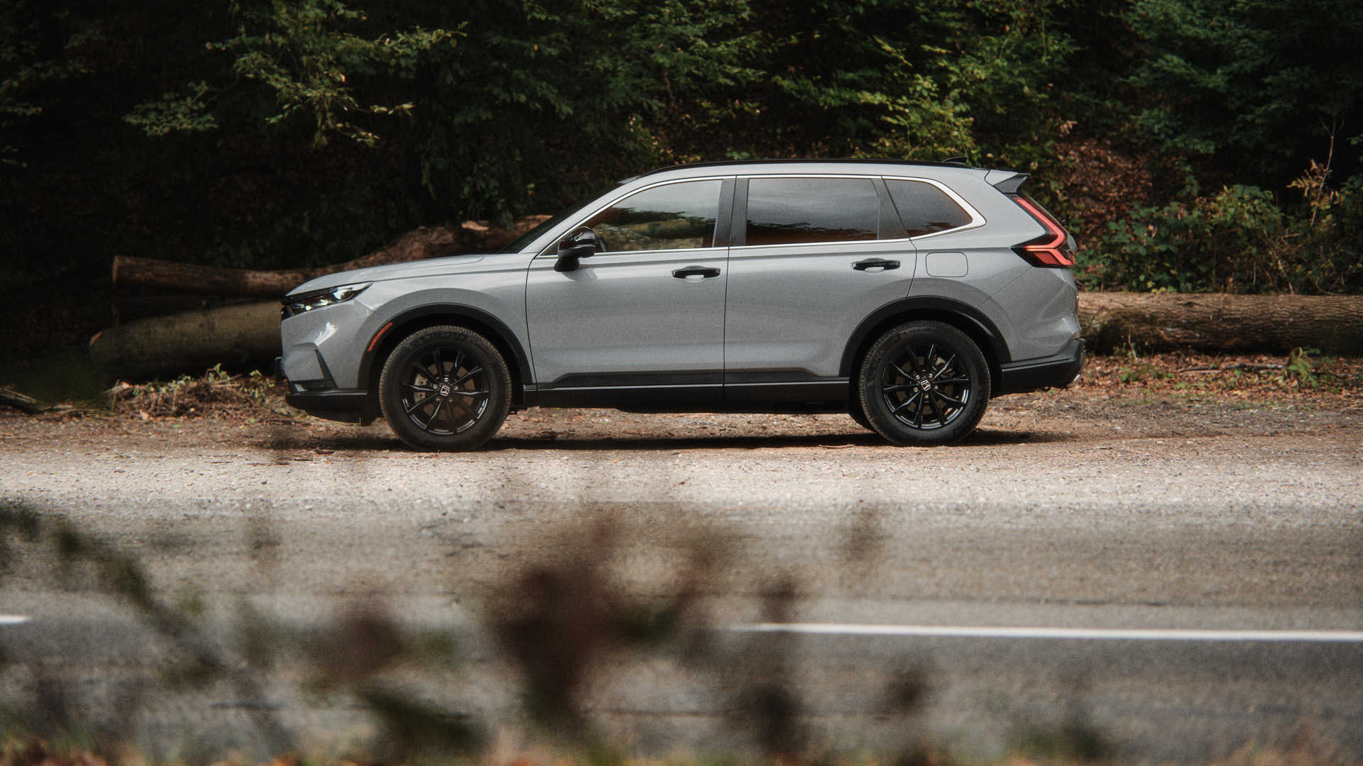 Un CR-V grigio vista di profilo, ferma sul ciglio della strada ai margini di un bosco