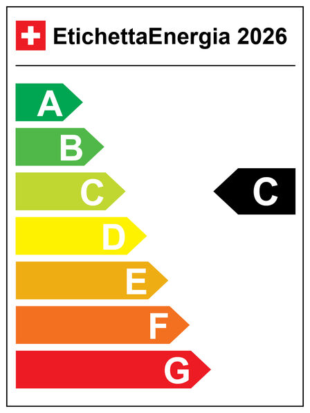 Etichetta energia 2025 - C
