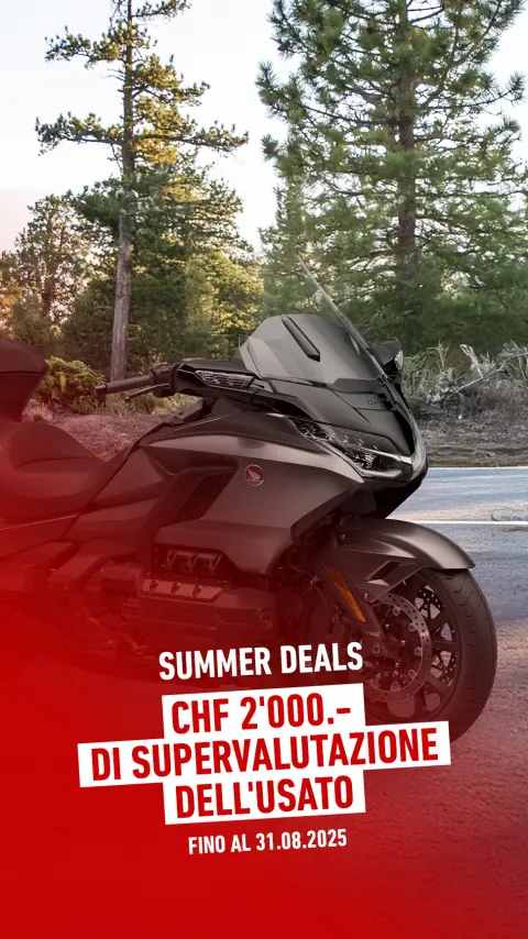 Due persone su una Honda GL1800 Gold Wing Tour, con le montagne sullo sfondo. 