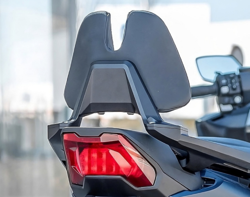 Schienale passeggero